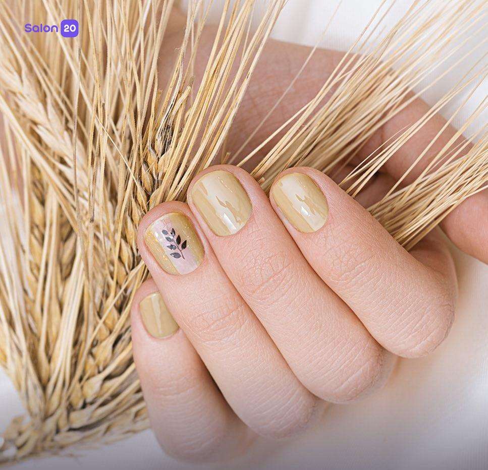 عکس شماره 0 از خدمات زیبایی سالن زیبایی وارش