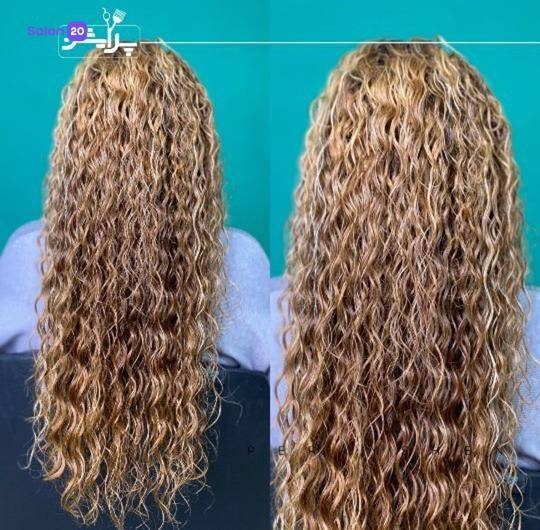 برترین فر مو باغ فردوس