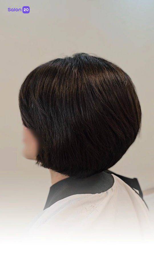 برترین سالن کوتاهی مو چتری درختی