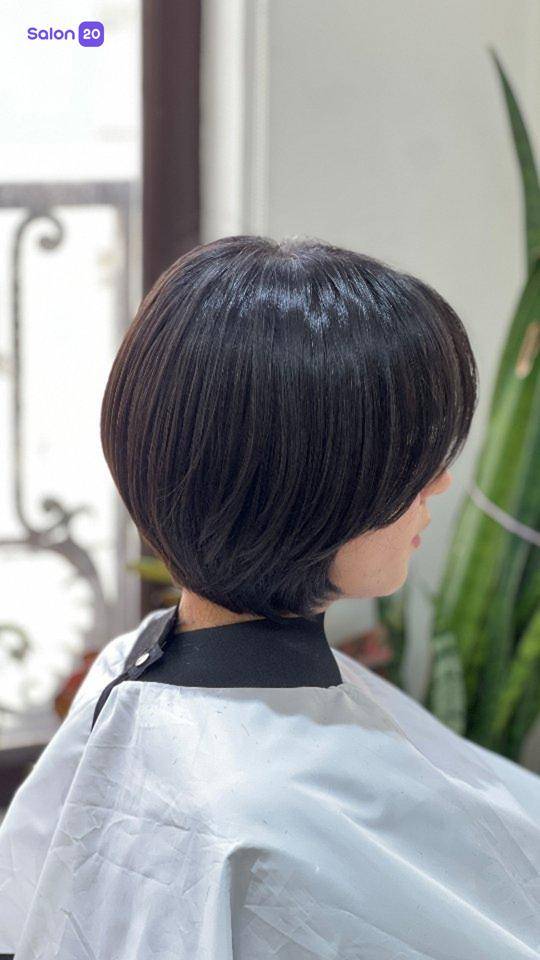 برترین سالن کوتاهی مو چتری دریا