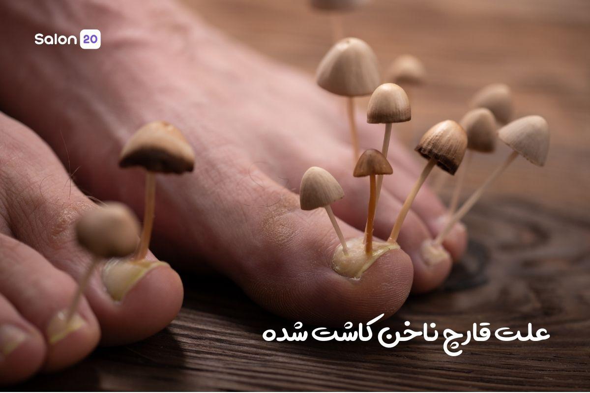 تصویر: undefined